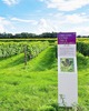 DREAMS COME TRUE VINEYARD 山幸 2021