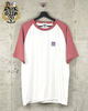 DCTgarden IKEDA 20th Tシャツ(キャンディピンク)
