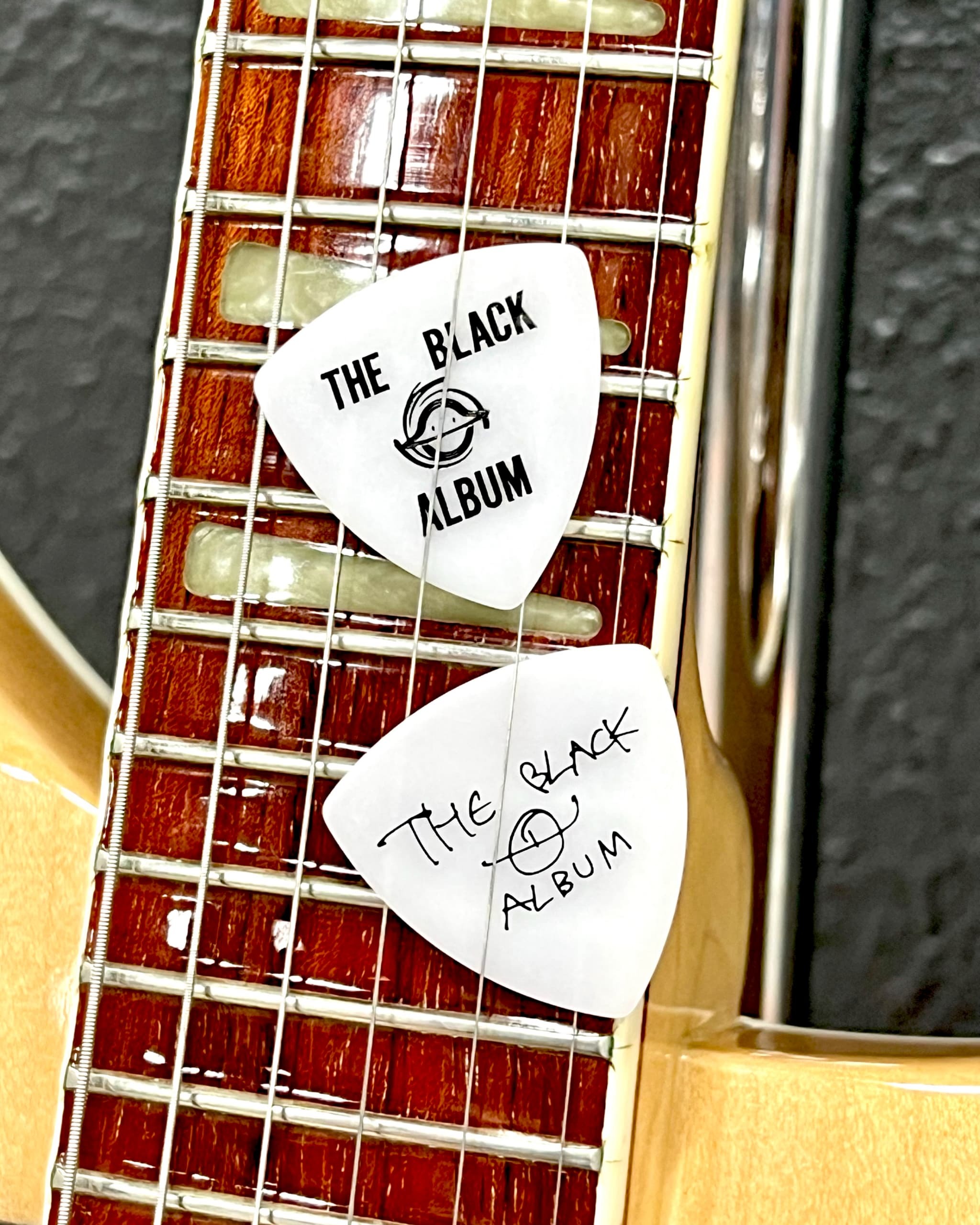 THE BLACK ◯ ALBUM GUITAR PICK KEYRING | DCTSTORE | DCTgarden